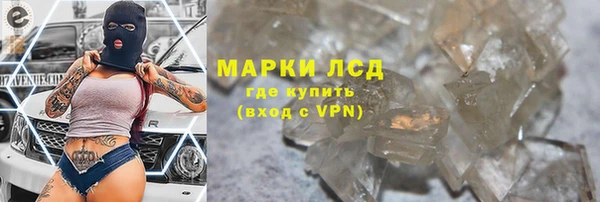 ГАЛЛЮЦИНОГЕННЫЕ ГРИБЫ Абаза
