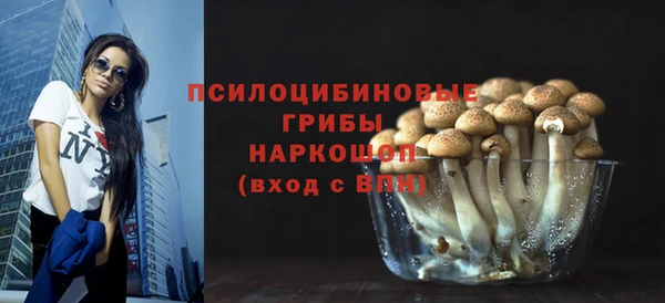 ГАЛЛЮЦИНОГЕННЫЕ ГРИБЫ Абаза