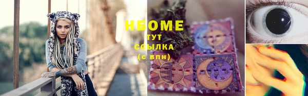 винт Пересвет