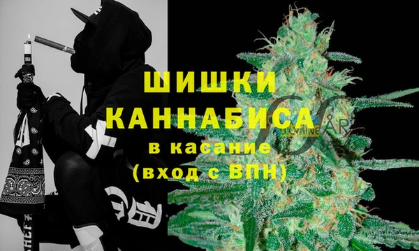 СК Осинники