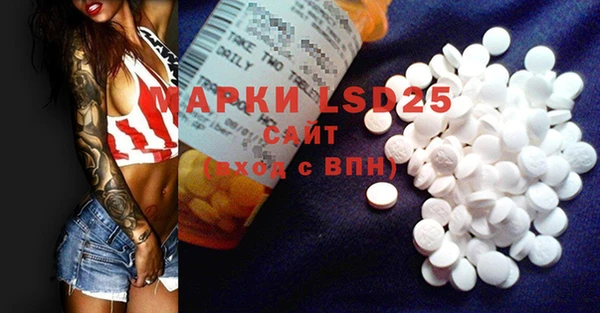 ГАЛЛЮЦИНОГЕННЫЕ ГРИБЫ Абаза