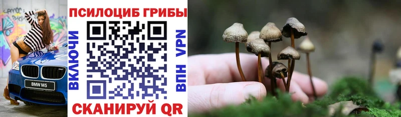 даркнет сайт  Камень-на-Оби  Галлюциногенные грибы MAGIC MUSHROOMS 